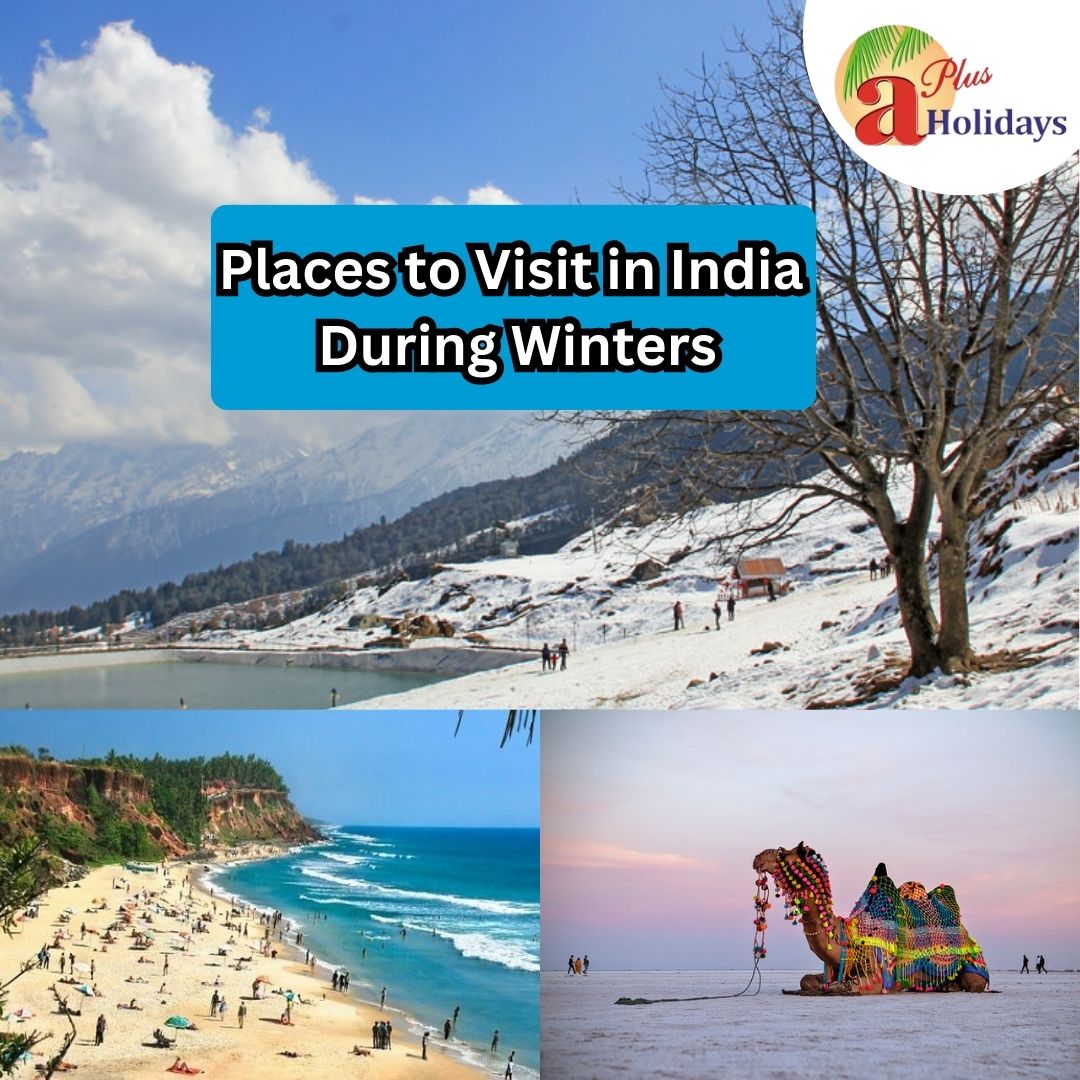 Top 5 Places to Visit in India  During Winters